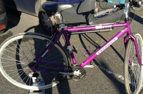 VTC Peugeot fushia homme